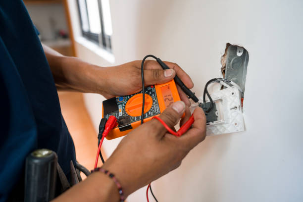 Best Electric Panel Repair  in Cedar Springs, MI