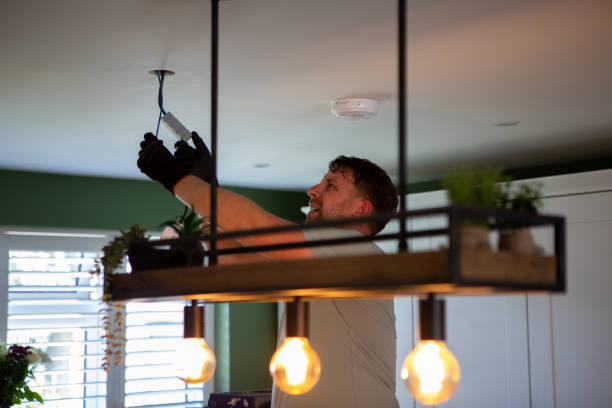 Best Local Electrician Companies  in Cedar Springs, MI
