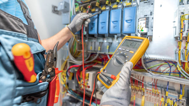 Best Home Electrical Repair  in Cedar Springs, MI
