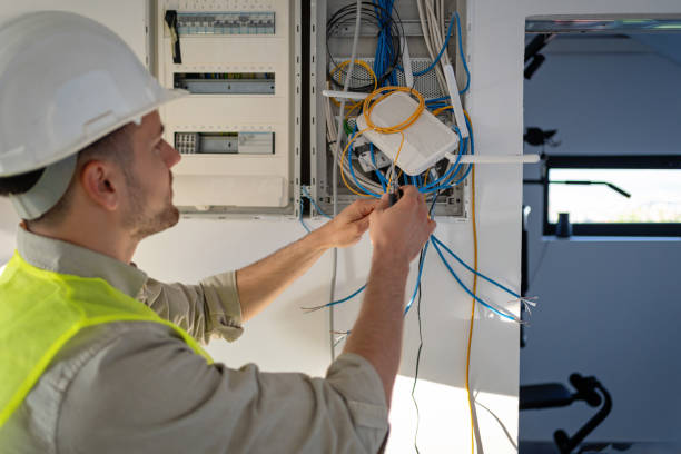 Best Electrical Repair Services  in Cedar Springs, MI